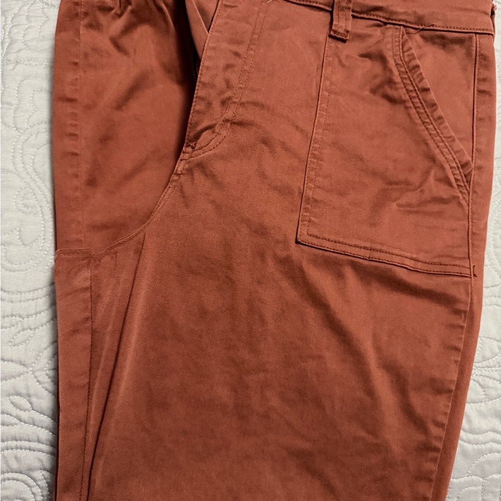 Kut from the Kloth Cargo Pants in Rust